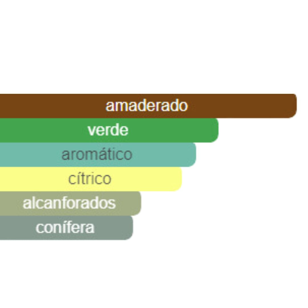 PERFUME HOMBRE ECORINCIA ALTERNATIVO COSTE WHITE