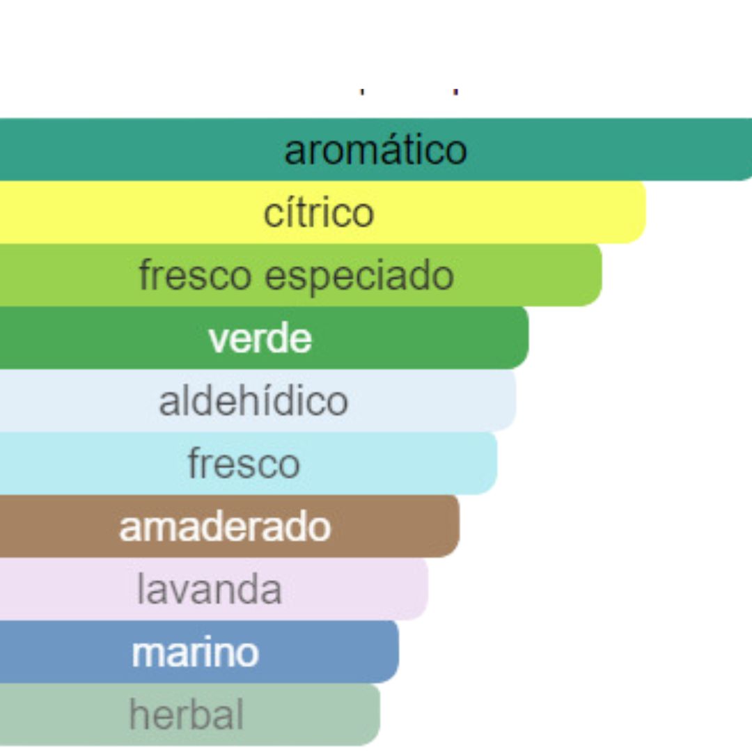 PERFUME HOMBRE INDIAN COLLECTION POLO SPORT