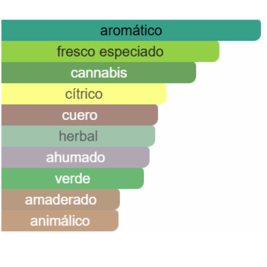 PERFUME HOMBRE INDIAN COLLECTION ALTERNATIVO BOY