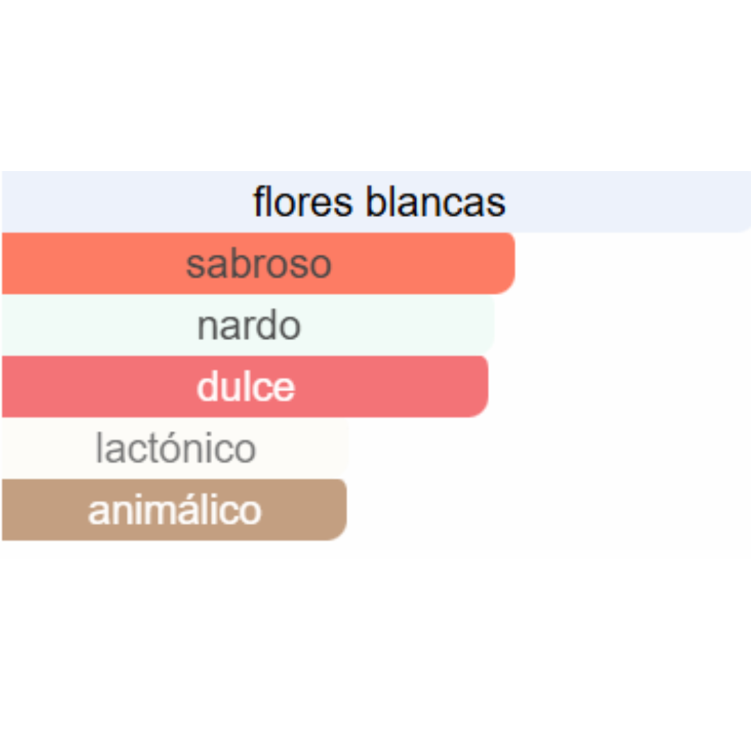 PERFUME MUJER DUPE SO SCANDAL JEAN PAUL 50ML